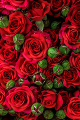 Bunch of fresh red roses floral background