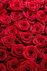 Bunch of fresh red roses floral background