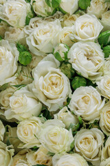 Bunch of fresh white roses floral background