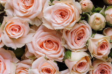 Obraz na płótnie Canvas Bunch of fresh pink pale roses floral background