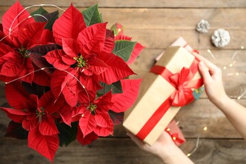 Woman with gift near poinsettia (traditional Christmas flower) at wooden table, top view