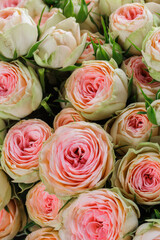 Bunch of fresh pink pale roses floral background
