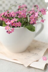Beautiful pink forget-me-not flowers with cup on light stone table, closeup