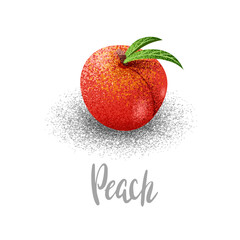 Peach, organic fruit, vegetarianism, vitamins in the garden vector illustration, vector particles, grain style.