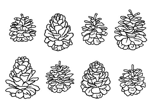 Clip art set of line drawing of pine cone