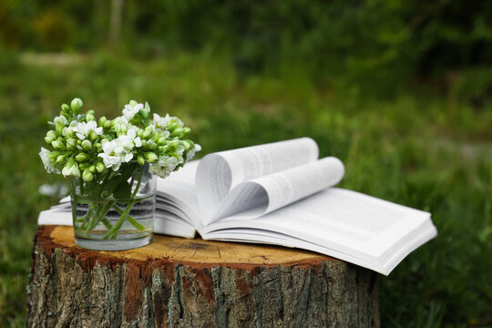 Open book and glass with flowers on tree stump outdoors