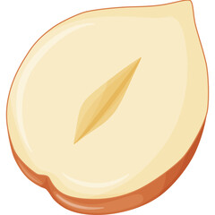 Hazelnut. Nuts in shell.