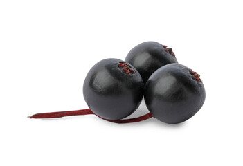 Delicious ripe black elderberries isolated on white