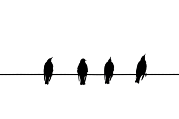 Birds on a wire