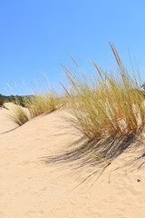 Dune  © Mathilde