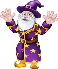 Wizard Cartoon Character Mascot