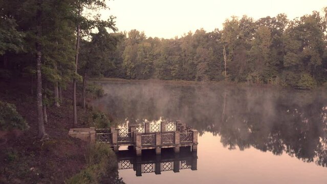 Trees in dark spooky forest with colors and shadows great for halloween or horror