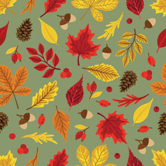 Autumn leaves pattern. Falling leaf seamless background with Oak, maple, chestnut, linden, aspen, walnut and rowan foliage.