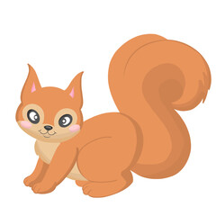cute squirrel animal illustration 
