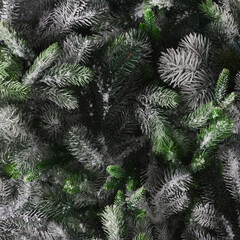 Creative flat lay with Christmas tree branches with snow. Minimal forest background. Nature New Year concept.