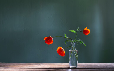 red poppy in glass bottle on green background