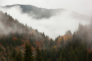 Fototapeta premium Savsat in the Autumn Season Photo, Savsat Artvin, Turkey