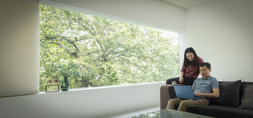 Couple using laptop on sofa in modern living room