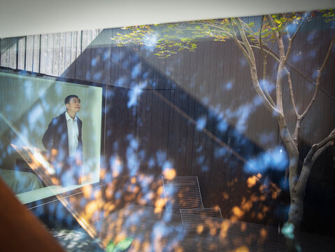 Man looking out bedroom window at sunny courtyard with tree