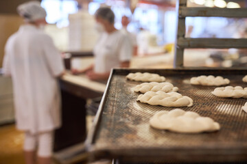 Yeast braids lie on a baking tray in a bakery