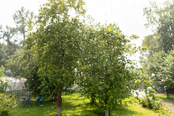 Fototapeta na wymiar summer raindrops fall from the sky overlooking a sunny lawn, green trees on a summer day, a beautiful sunny rainy day background