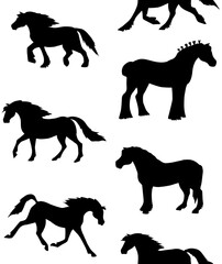 Vector seamless pattern of hand drawn doodle sketch horse breeds silhouette isolated on white background