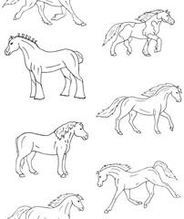 Vector seamless pattern of hand drawn doodle sketch horse breeds isolated on white background