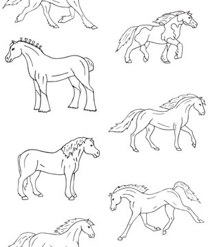Vector seamless pattern of hand drawn doodle sketch horse breeds isolated on white background
