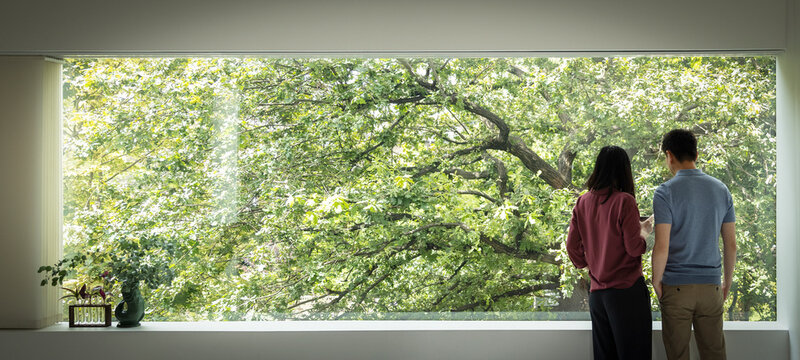 Couple standing at window with view of green tree