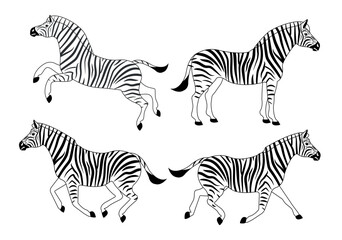 Fototapeta na wymiar Vector set of flat hand drawn outline zebra isolated on white background