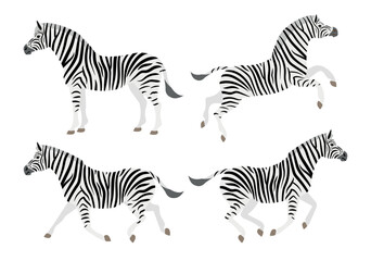 Fototapeta na wymiar Vector set of flat hand drawn zebra isolated on white background