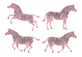 Vector set of flat hand drawn pink zebra isolated on white background