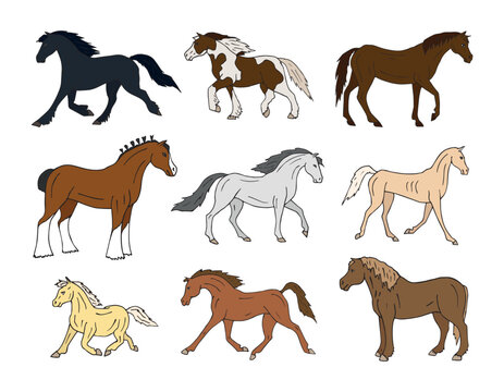 Vector set of hand drawn doodle sketch colored horse breeds isolated on white background