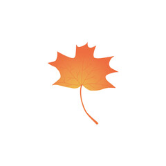 Orange maple leaf 