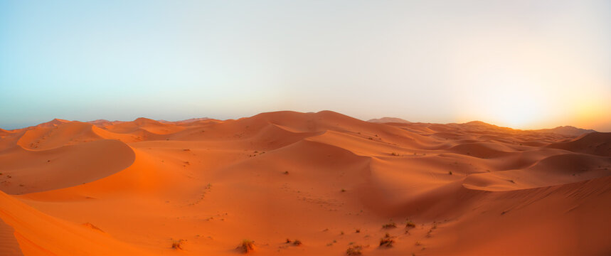 Beautiful sand dunes in the Sahara desert at sunrise - Sahara, Morocco © muratart