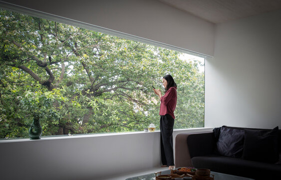 Young woman using smart phone at window with view of trees