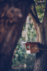 Birdhouse isolated