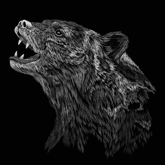 BEAR VECTOR ILLUSTRATION.t-shirt graphics for use