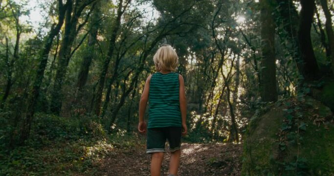 Child boy walk in forest with border collie dog crossing the wooden bridge on tourist trail. Children in the woodland with domestic dog on summertime weekend. 