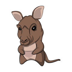 kangaroo illustration vector