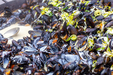 Mussels cooked in wine sauce with herbs in a large frying pan