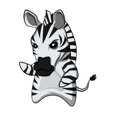 black and white zebra