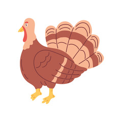 Turkey. Thanksgiving Day Collection. Flat vector illustration