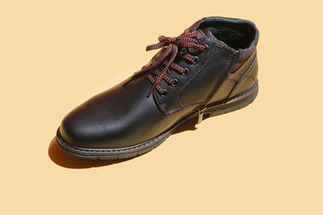 Winter boots. Male black leather elegant shoe...