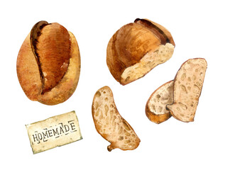 Bread clip art. Watercolor illustration. Homemade bread. Whole freshly baked bread, sliced slices. For website design, menus, stickers, cards, etc.