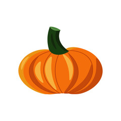 Obraz premium Pumpkin - fresh vegetables. Vector illustration isolated on white background. Icons and logos. For cafes, restaurants and menus, fabrics and scrapbooking, farms and markets, packaging and decor.