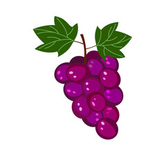 Fresh bunch of red grapes - fresh fruit. Vector illustration isolated on white background. Icons and logos. For cafes, restaurants and menus, fabrics and scrapbooking, farms and markets, packaging and