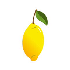 Lemon is a fresh fruit. Vector illustration isolated on white background. Icons and logos. For cafes, restaurants and menus, fabrics and scrapbooking, farms and markets, packaging and decor.