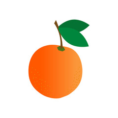 Ripe orange - fresh fruit. Vector illustration isolated on white background. Icons and logos. For cafes, restaurants and menus, fabrics and scrapbooking, farms and markets, packaging and decor.