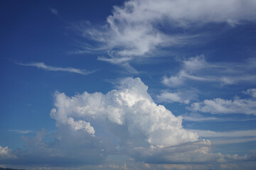 夏の空